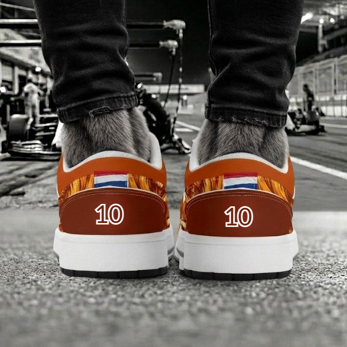 Lions Crown Custom Oranje Sneakers | WK, EK, Koningsdag en Racing Kicks